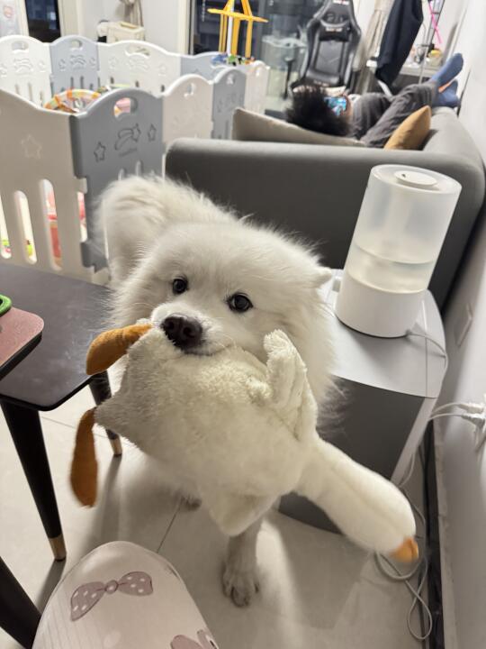人 ，陪我玩
