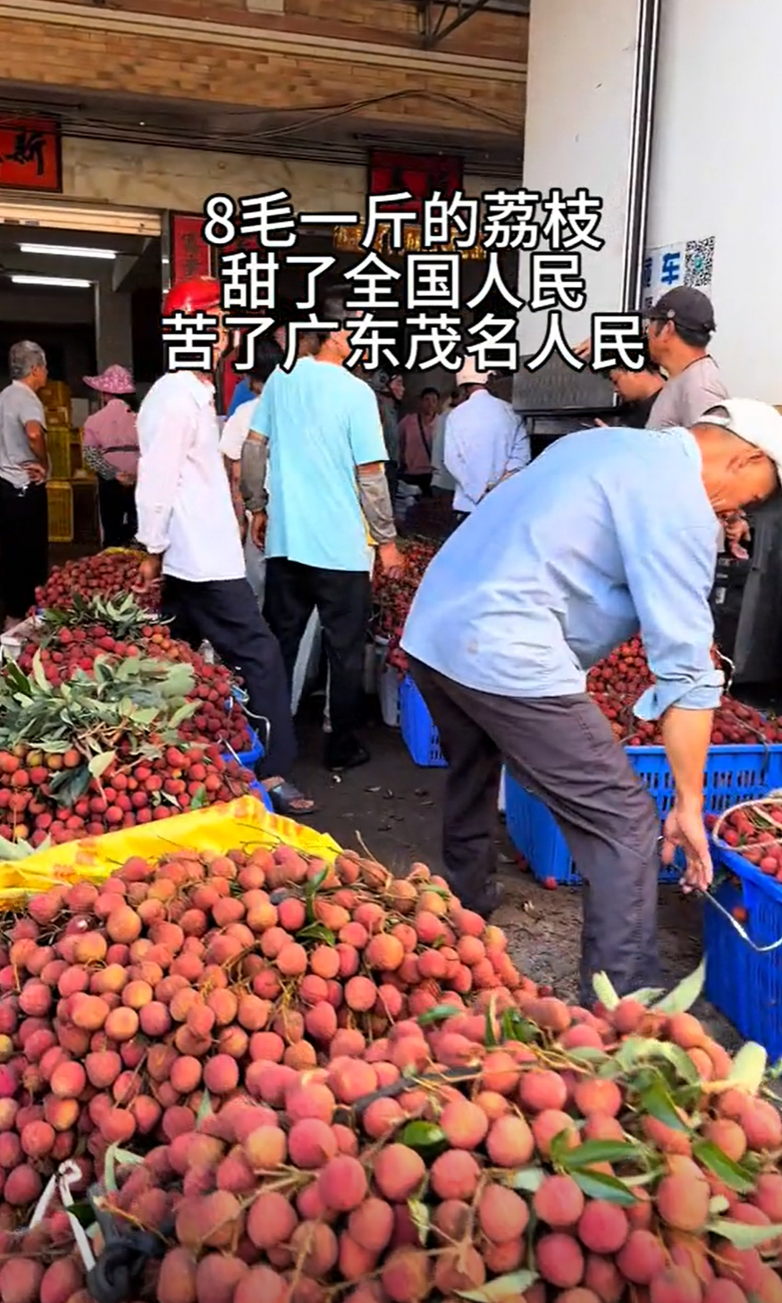 “卖的钱不够请工人”，广东茂名农户因荔枝价低放弃采摘，农业农
