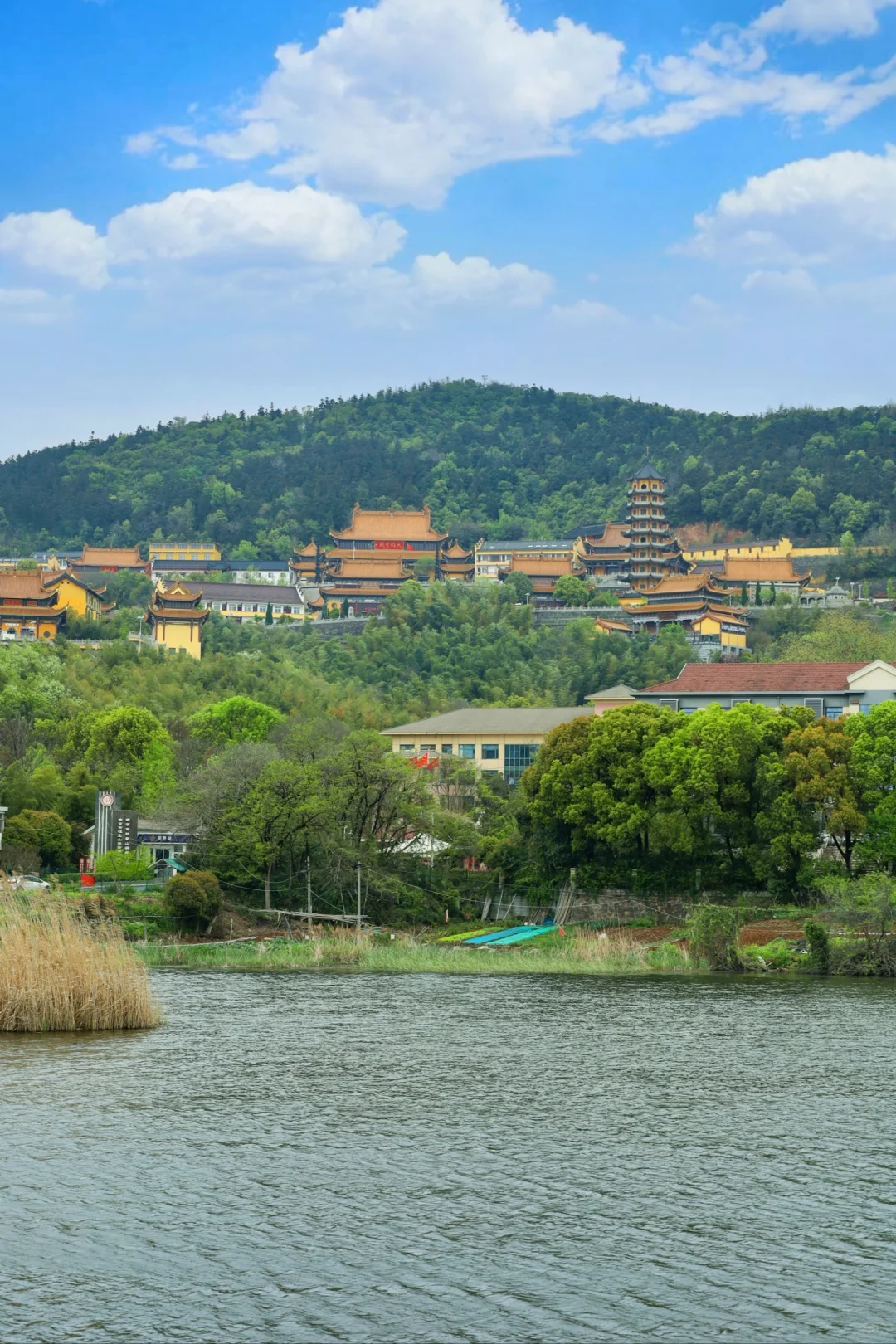 相比鸡鸣寺❗️我更爱这个宝藏寺庙人少免费