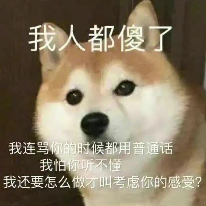 抽象表情包  搞怪表情包  沙雕表情包 