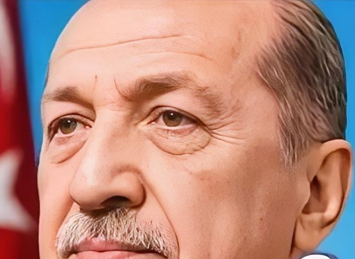 土耳其这次可栽了个大跟头！心里还想着跟以前一样，像当年“卡熊猫航母”那样让比亚迪