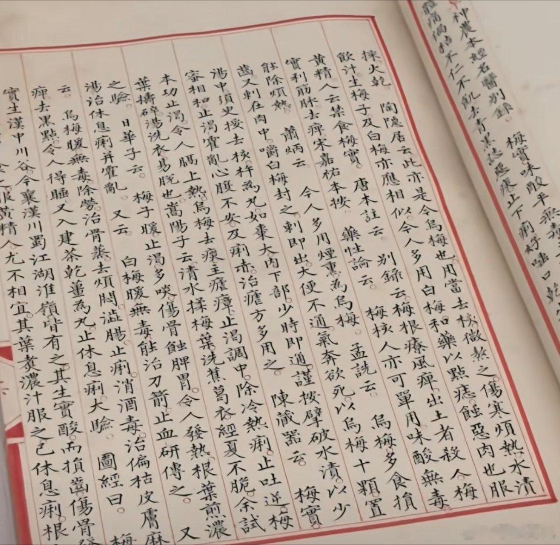 《永乐大典》里的梅子 
