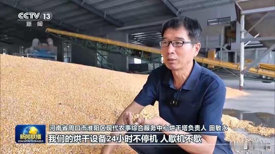 可你别只看到“收获近两成”这几个轻飘飘的字。

你没看到的是：天刚蒙蒙亮，河南老