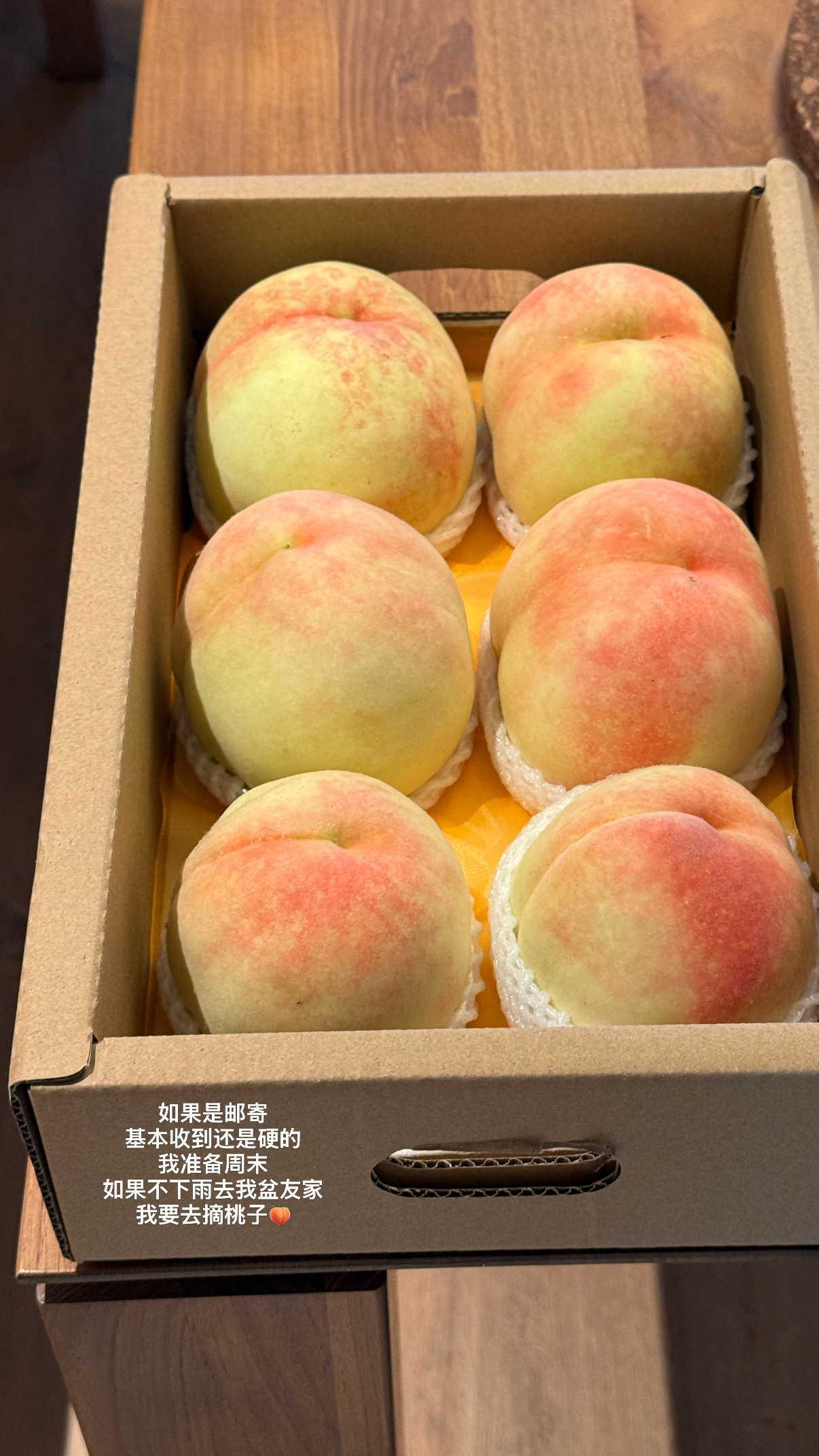 晚安plog 