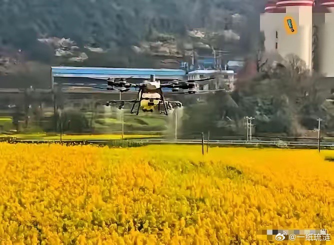 别再洗了！洗不白！这两天网上跟约好了似的，一窝蜂全是给无人机乱飞洗地的。声音还挺