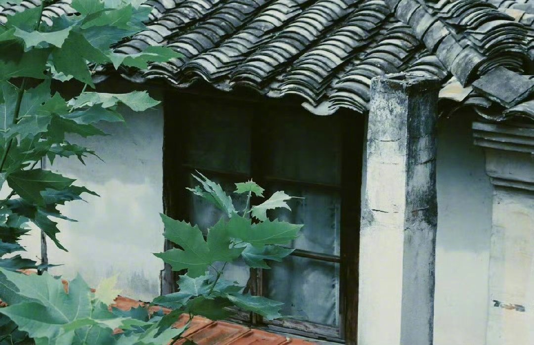 “今天飞花令｜主题【世、情】古诗词 ”                     