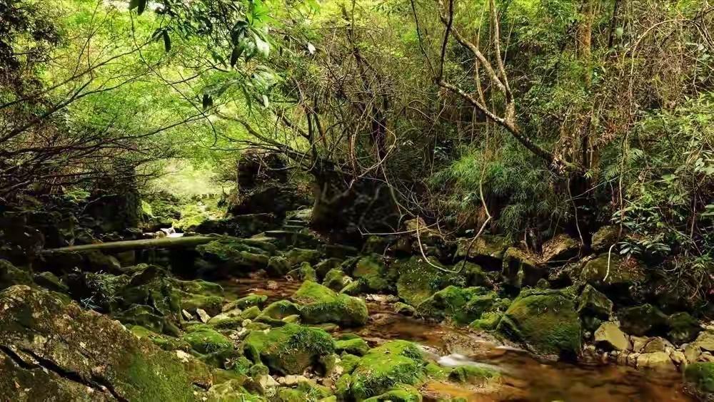 昨天刷到一件事，看得我心里一紧。

三个年轻人去贵州茂兰徒步，18公里的大环线，