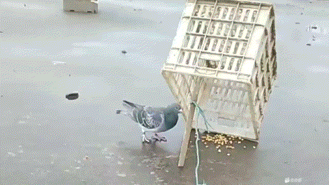 事已至此，先吃饭吧。还能咋办