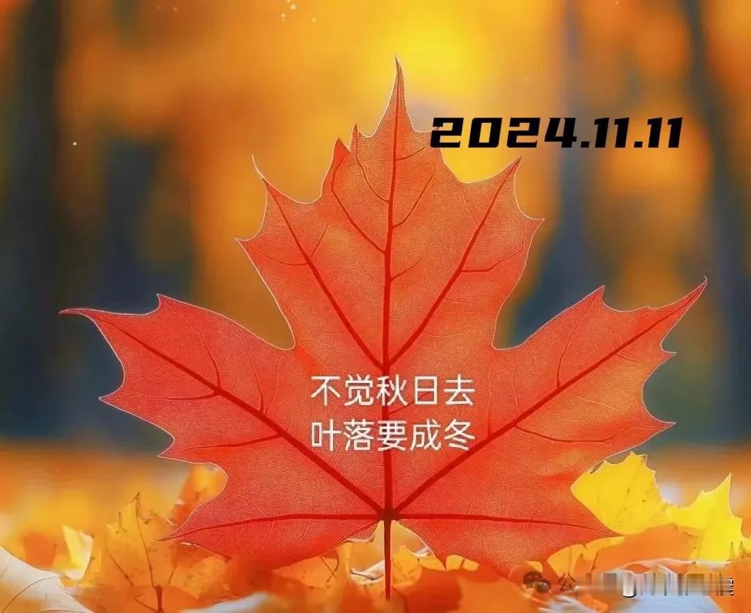 2024.11.11  农历甲辰年十月十一，周一【🌹每日心语】
时光如梭，年华