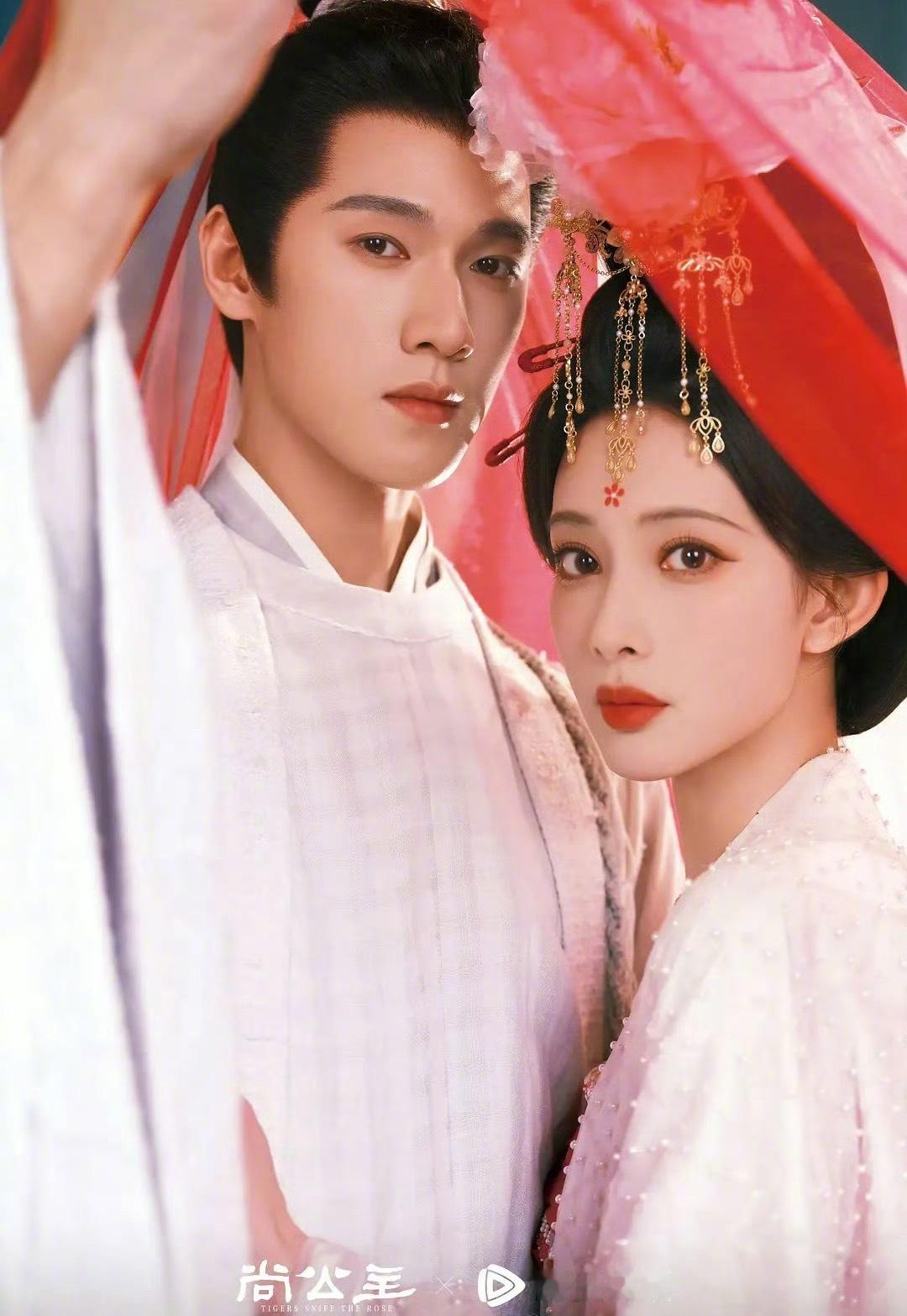 孟子义、李昀锐《尚公主》合体的定妆照，给打几分？孟子义李昀锐定妆照 ​​​