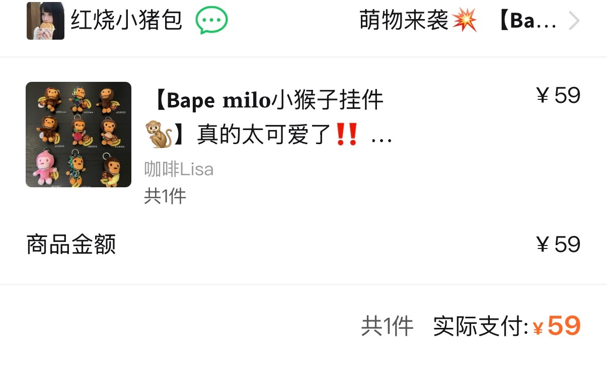买了一个小萌物 lisa！ 