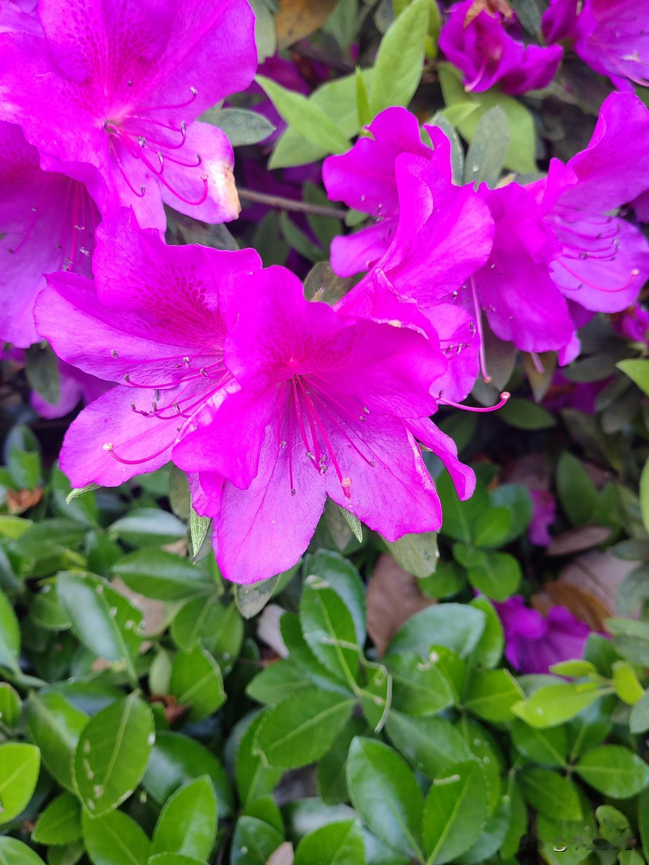 要想照顾好家人，首先要照顾好自己。只有先把自己照顾好，才有能力照顾好家人[赞][