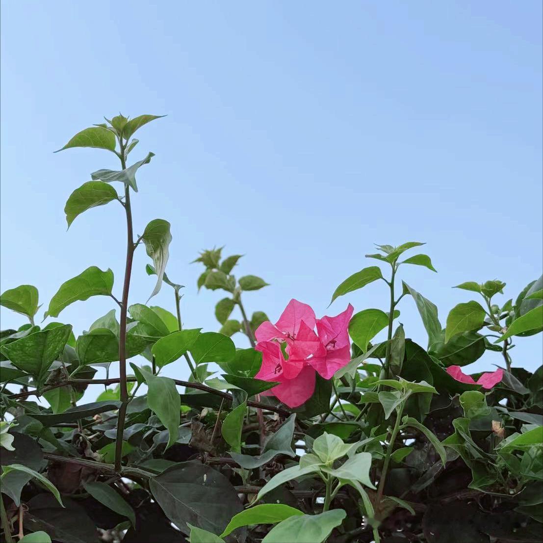 经济学女博士张玲履新
 
近日，该同志履新。
 
该同志今年55岁，曾经获得经济