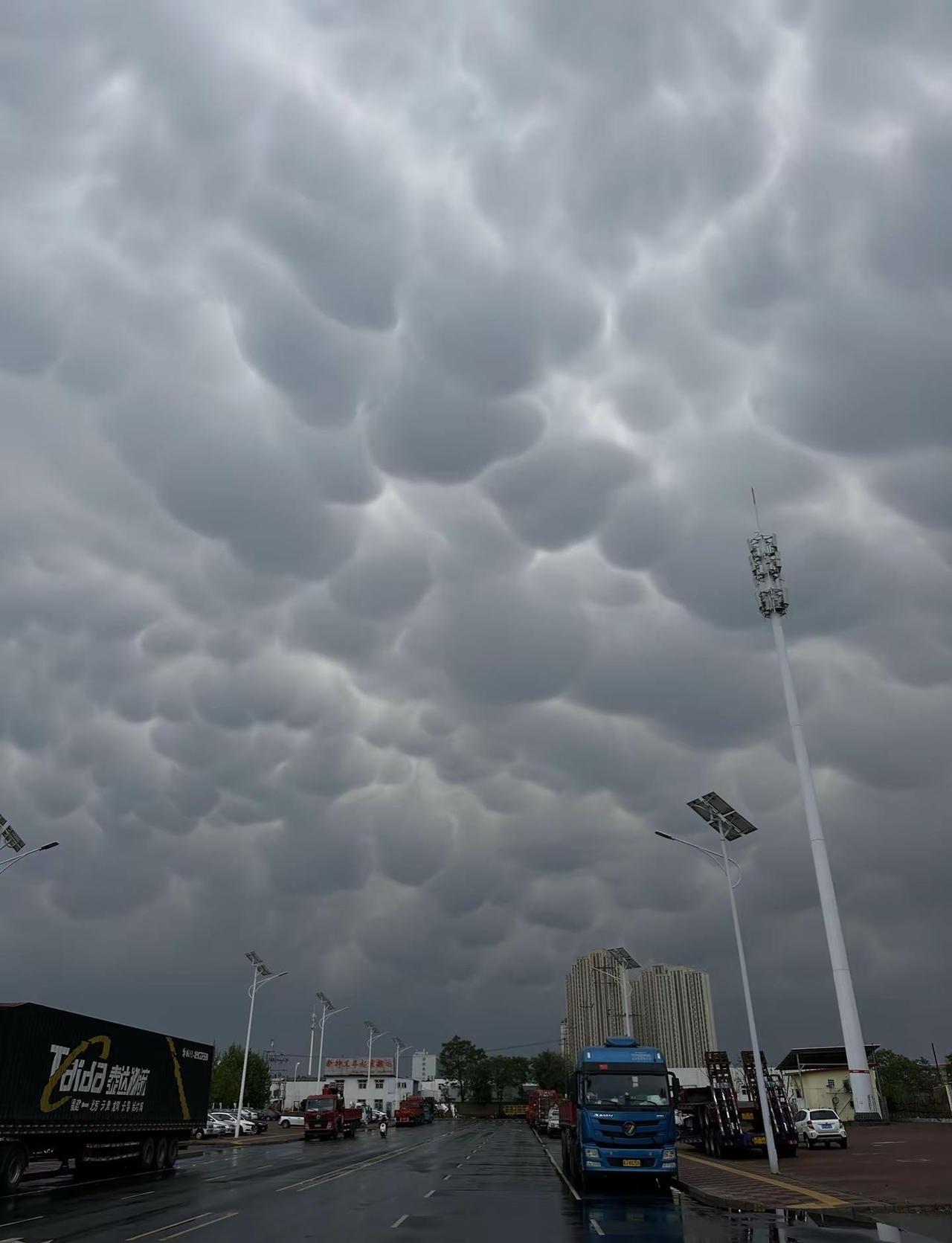 一天下了两场雨！乳状云真的第一次见