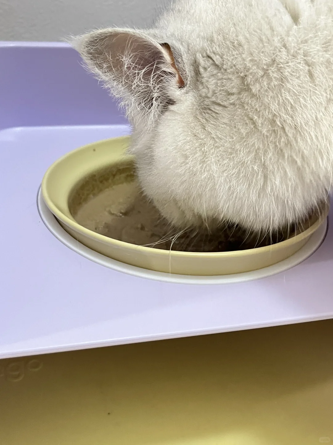 不是😱现在猫咪罐头都卷成这个样子了吗❓