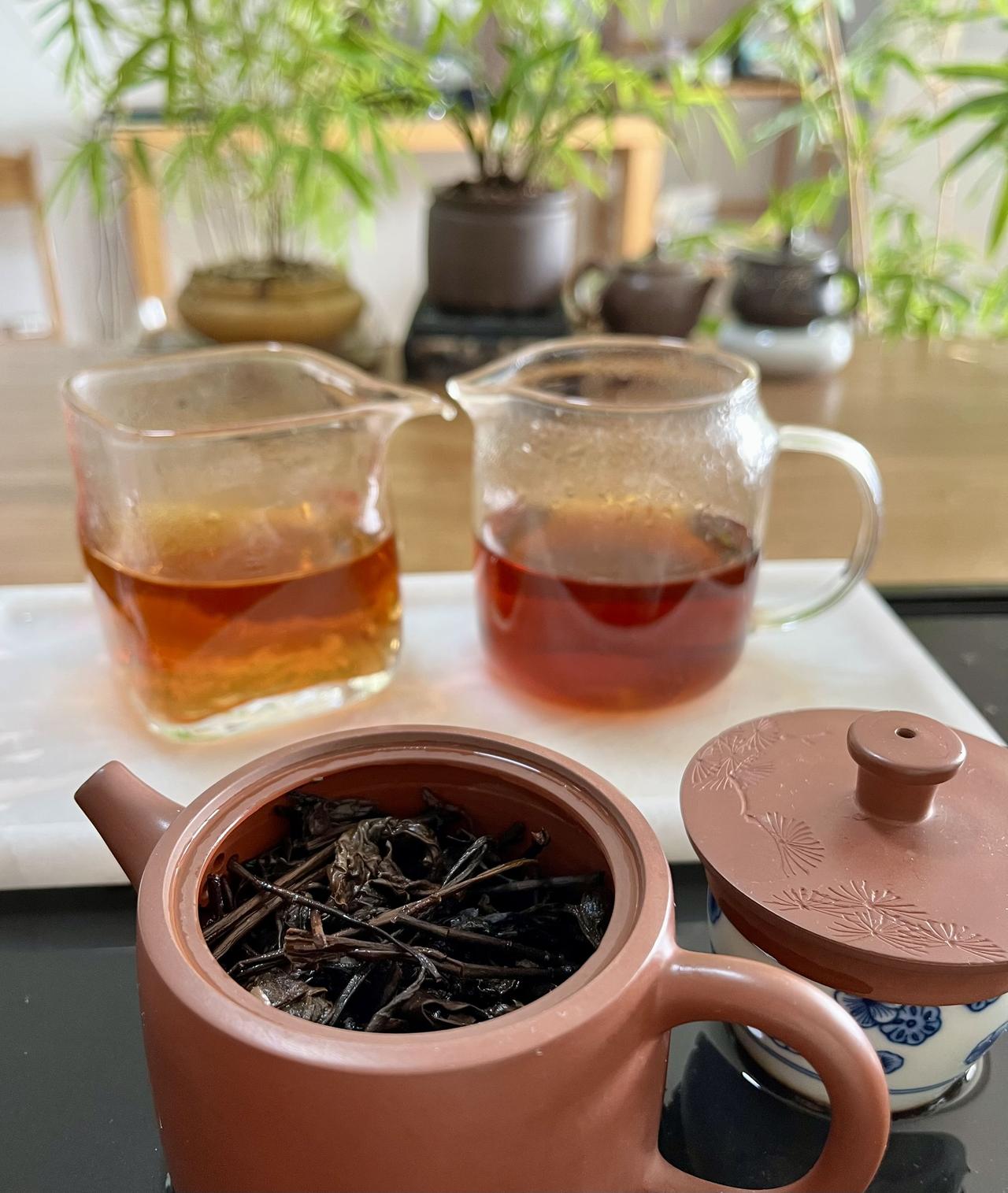 六堡茶的历史

    古人认为，广西湿热，多瘴气，最早，岭南先民为了祛湿清热，