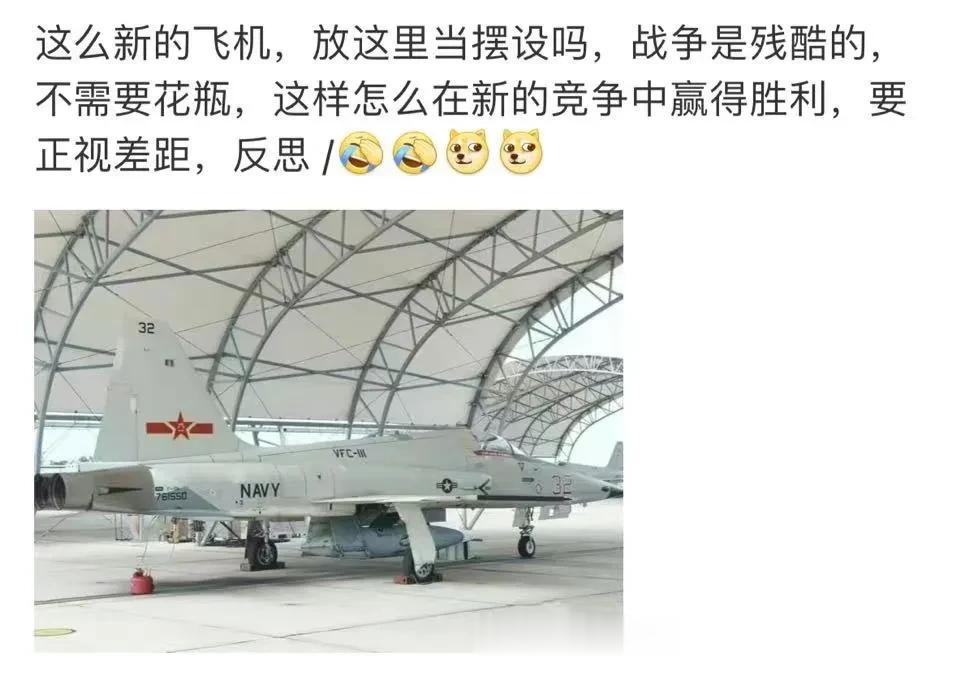 虽然飞机总是在天上飞，不容易弄得很旧，可是太崭新了，明显就是放在那里当摆设，这也