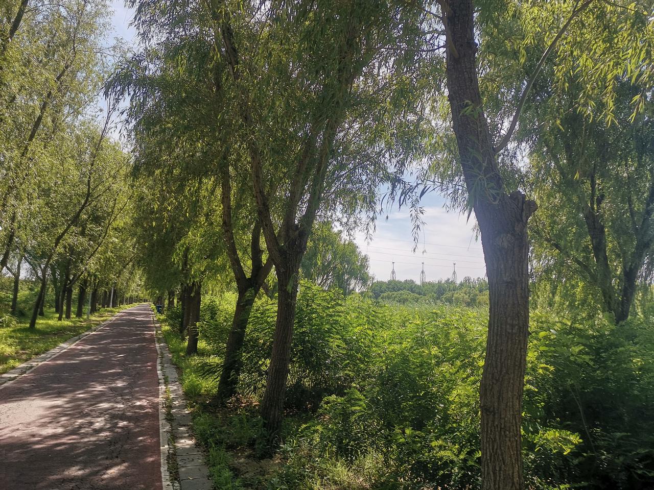 《月满时》
                ——写给高考学子
纸页翻涌
在六月的