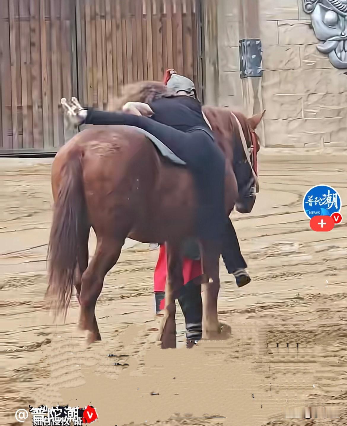 太逗了……
近日，河南一游乐场里，一名女子准备体验骑马，上马之前气场直接拉满仪式
