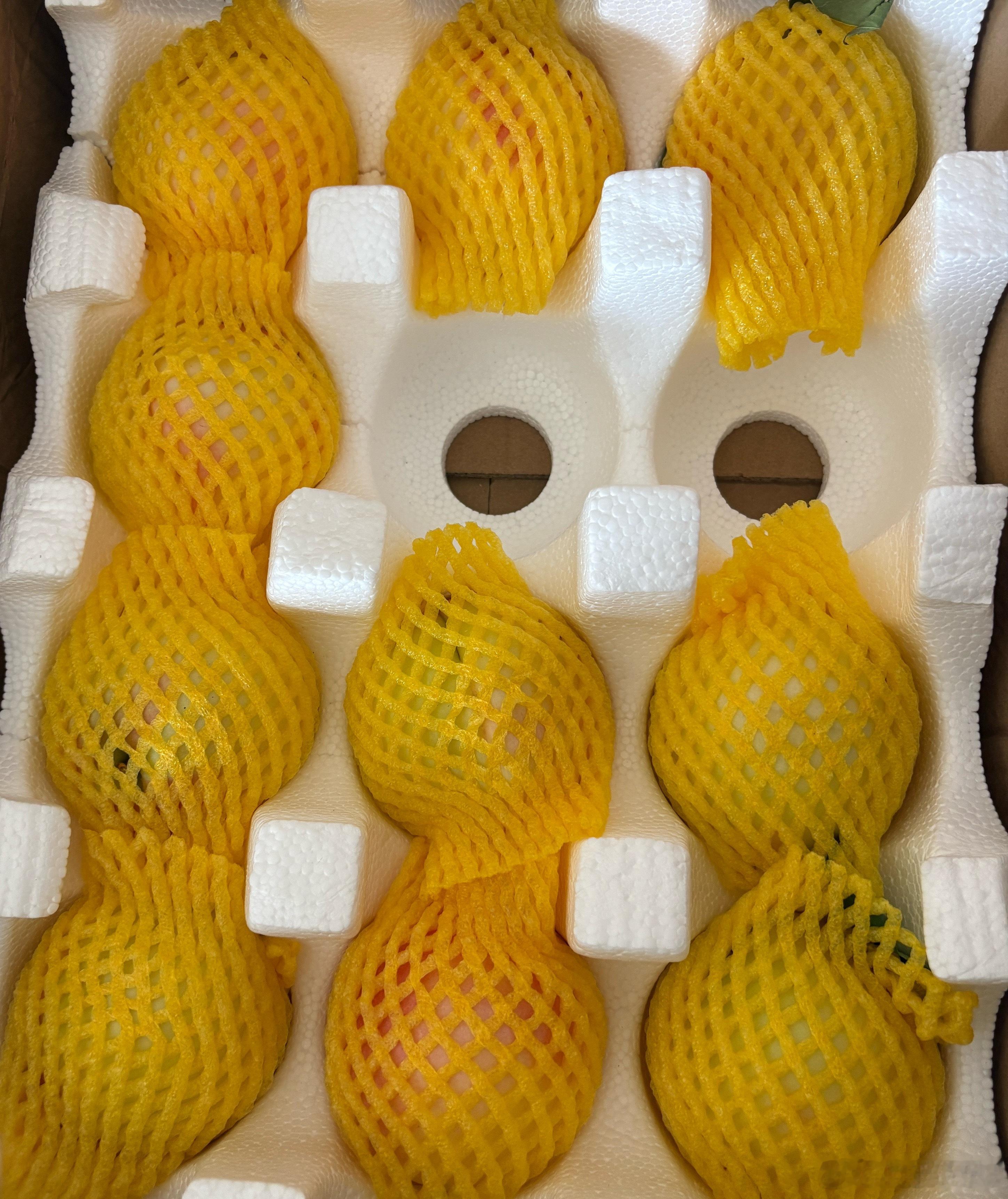 窗子修好了花了200块物业需要交2600多一点没有收入的老登感觉到了肉疼谢谢东北