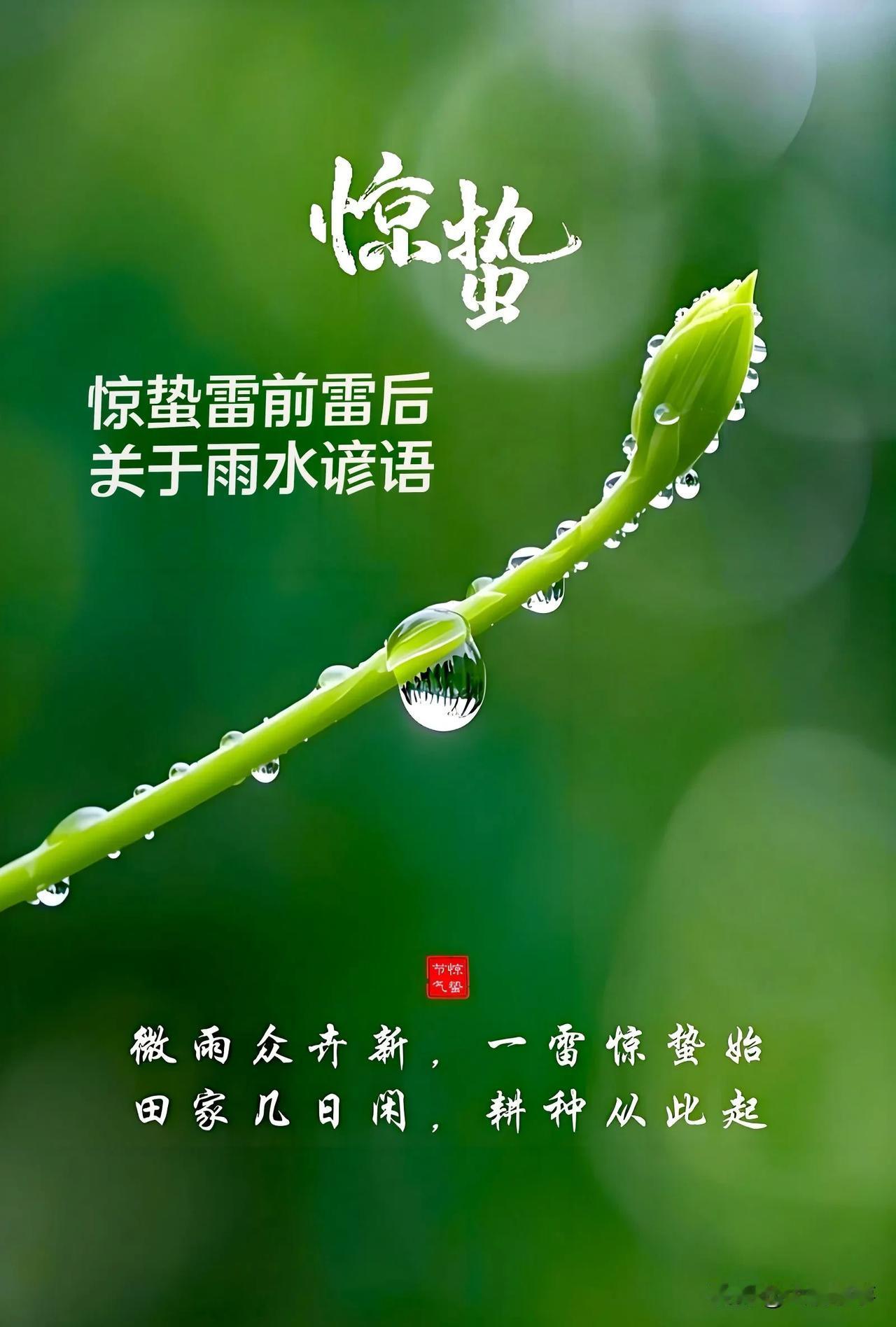 雷打惊蛰前，高山好种田。
雷打惊蛰前，四十九天不见天。
雷打立春节，雨惊蛰不歇。