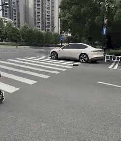 现在这猫包容的吗？
打扫大街已经被扫地机器人承包了？