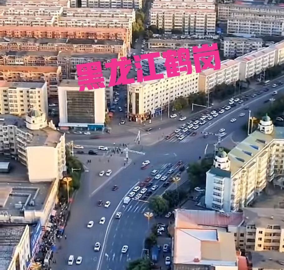 惊悉，刘妈大前天已经从老家鹤岗突然折返去了辽宁营口一个叫“圈里”的地方。
并且已