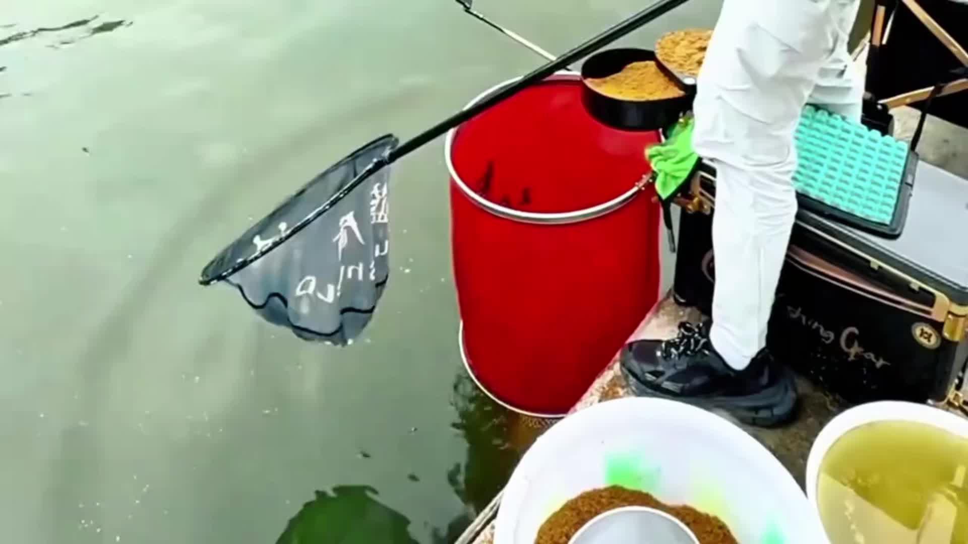户外钓鱼