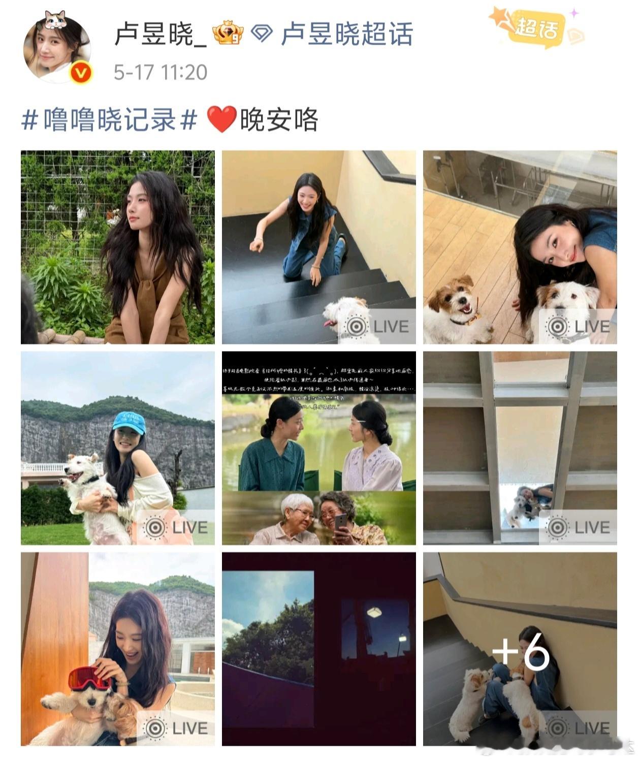 可能是我浅陋了，我只关注到了卢昱晓是在一众分享日常中带了个给阿嬷的情书的动态图，