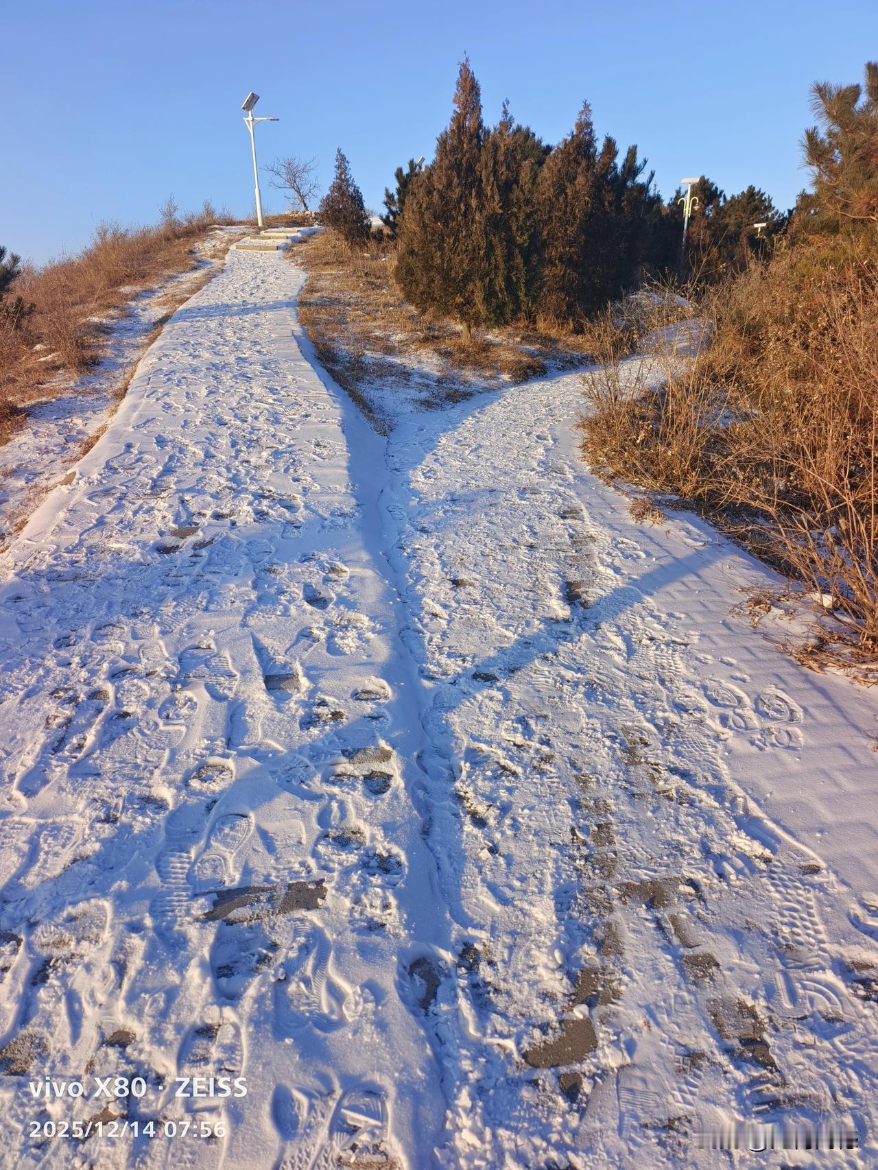 给2026的自己写句话舒展你不倦的爱意，爱自己，爱家人，爱你所爱的一切！