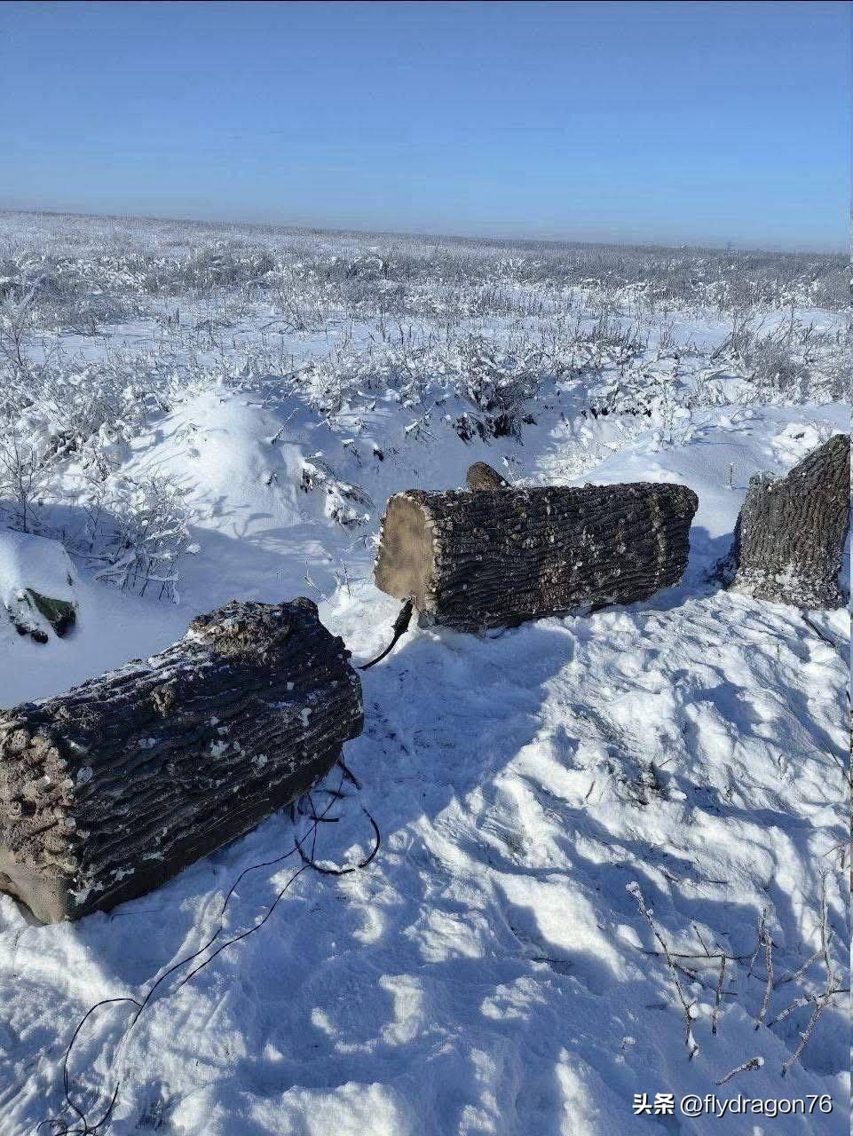 🇷🇺俄罗斯星链天线的伪装

伪装的重要外表明显特征的通讯天线在战时难以隐藏，