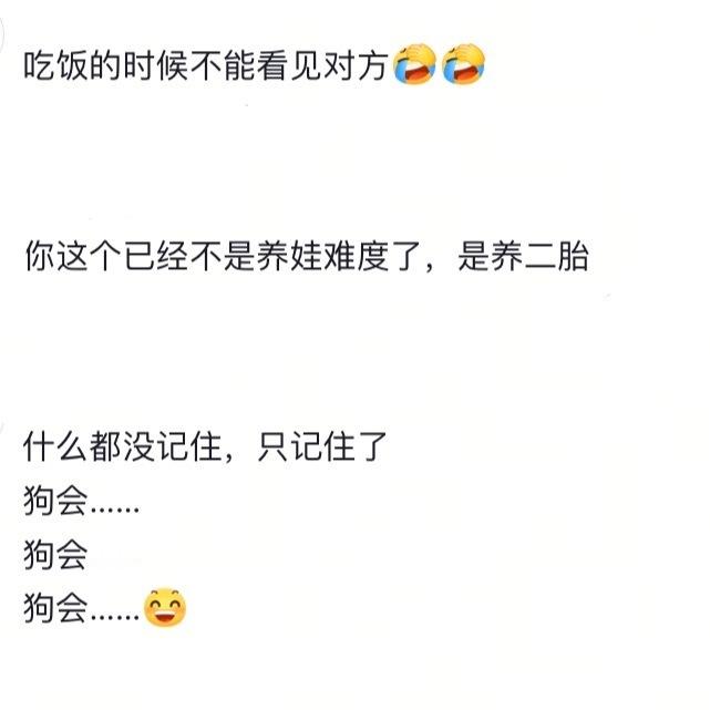 当养狗人要出远门