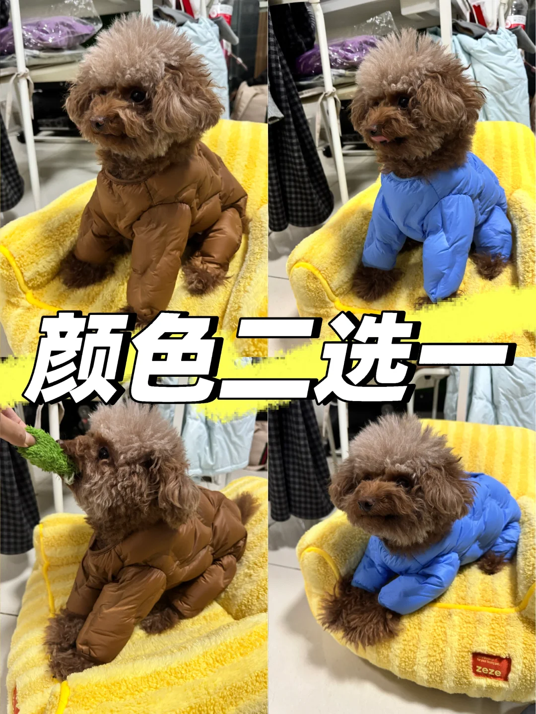 🆘哪个颜色好看呀