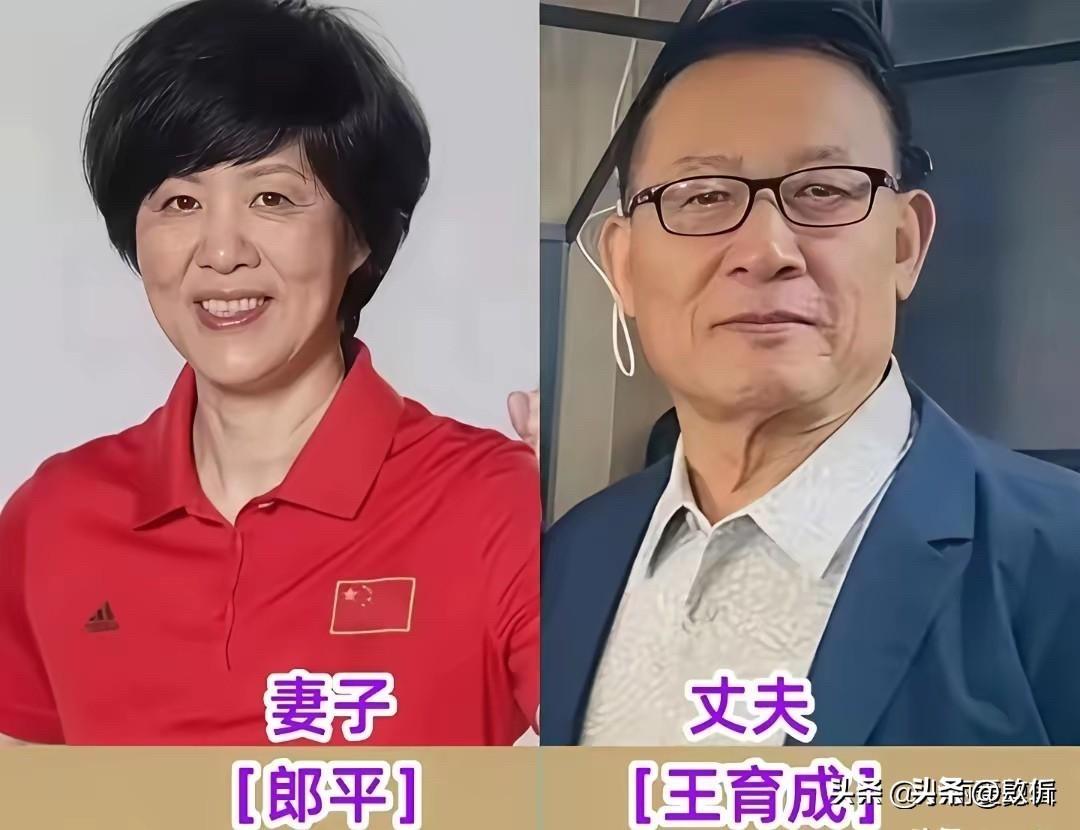 运动员和他们的另一半：奥运冠军都嫁给了谁？娶了谁？

郎平，这可是咱中国女排的传