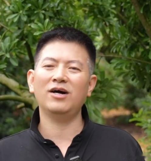 台州仙居返乡杨梅郎耕耘山间致富路台州仙居小小杨梅果扛起乡村增收希望火红杨梅挂满山