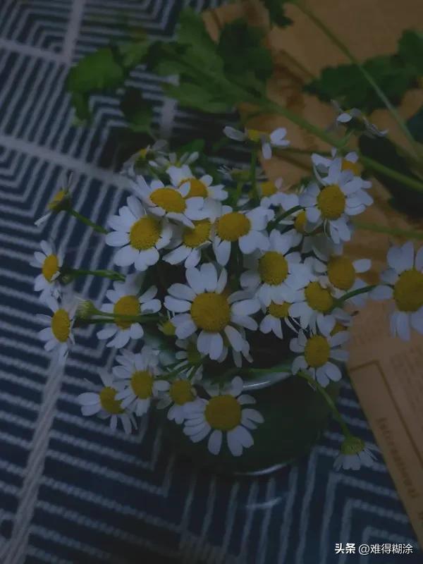 用两个字形容我现在的生活，我选“熬鹰”。每天像和生活这只“鹰”较量，早上得从被窝