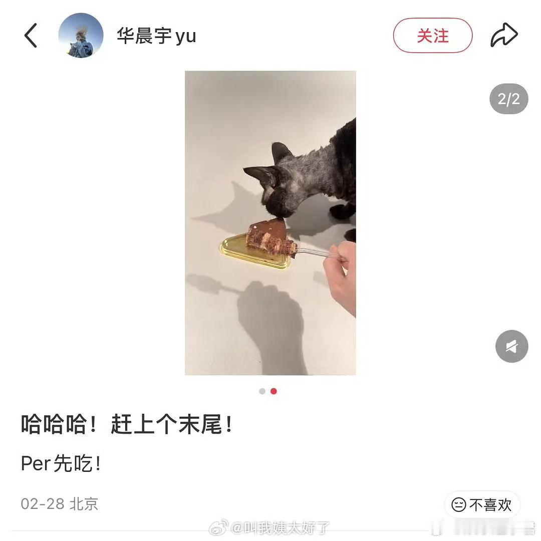 华晨宇喂猫吃巧克力蛋糕华晨宇分享给其饲养多年的宠物猫吃巧克力生日蛋糕。粉丝提醒华