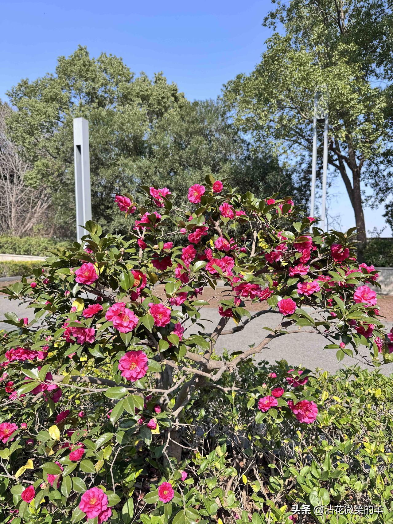 我们为什么要生孩子？

去年底，小学闺蜜的女儿结婚，收到邀请函时，那时段刚好家里