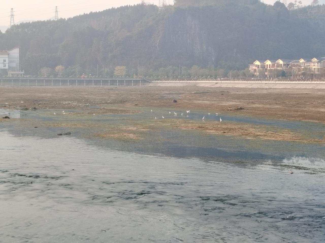 静谧湖畔，白鹭翩翩起舞，自然与建筑和谐共存。
在那片静谧湖畔，简直是人间仙境。白