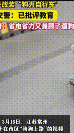常州“狗力车”引热议，交警喊停！
最近，江苏常州一大爷脑洞大开，把电动车改成了“