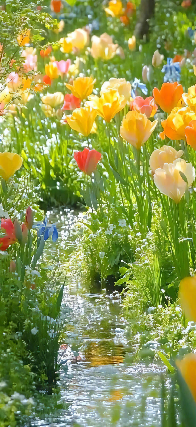 花花意境 