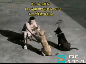 虽然没有拴绳，但是当狗子出现了情况之后，男人还是在第一时间对狗狗下了狠手。
就这