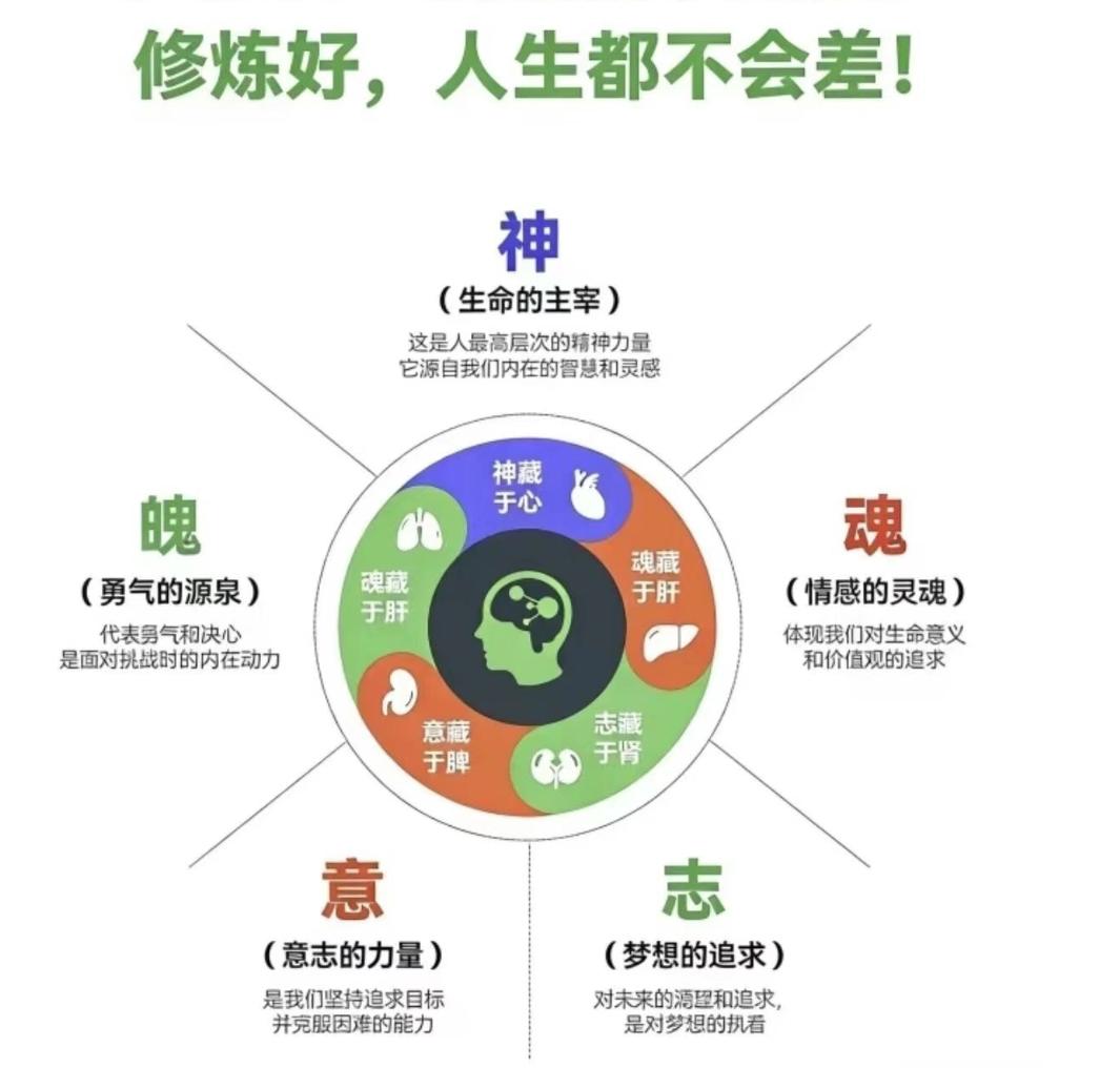 修炼好这五种力量，人生都不会差
原来人的精神，是有迹可循的。
心神安定，肝魂清明