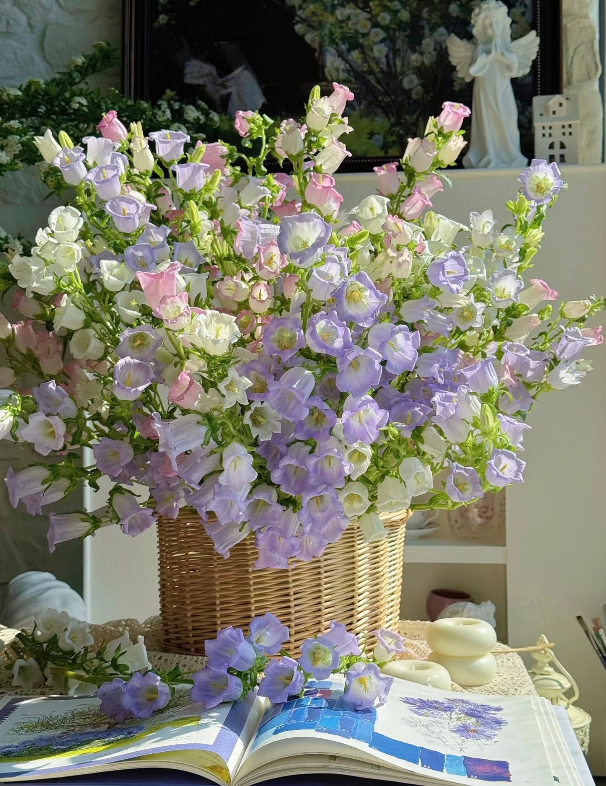 请你参与我的春天💐辛迪瑞拉