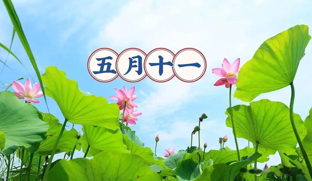 今日五月十一，牢记1不扔，2不碰，吃3样，做1事，平安多福事事顺
 
农历五月十