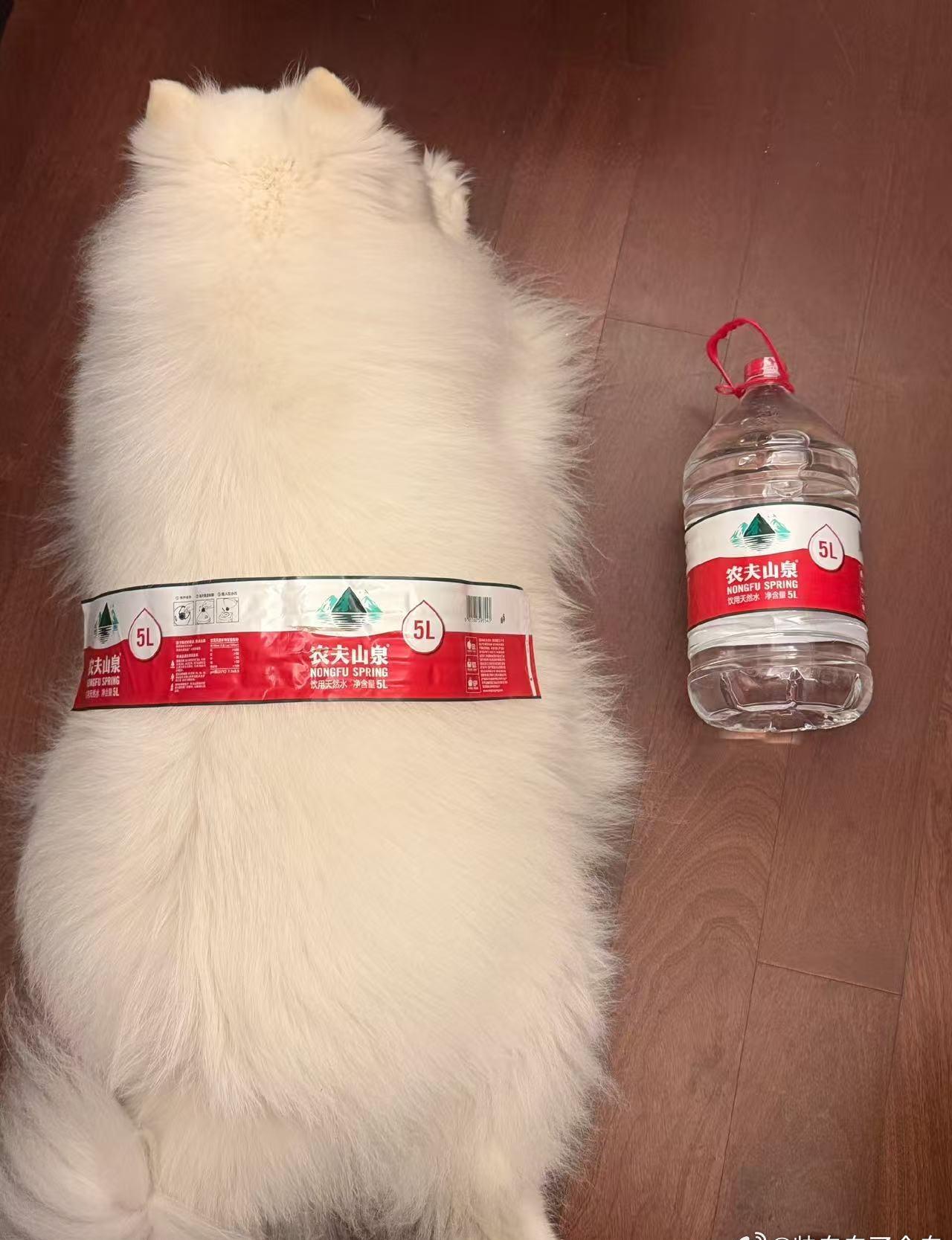 实物参照摆在眼前，原先模糊的形容瞬间变得一目了然 ​​​