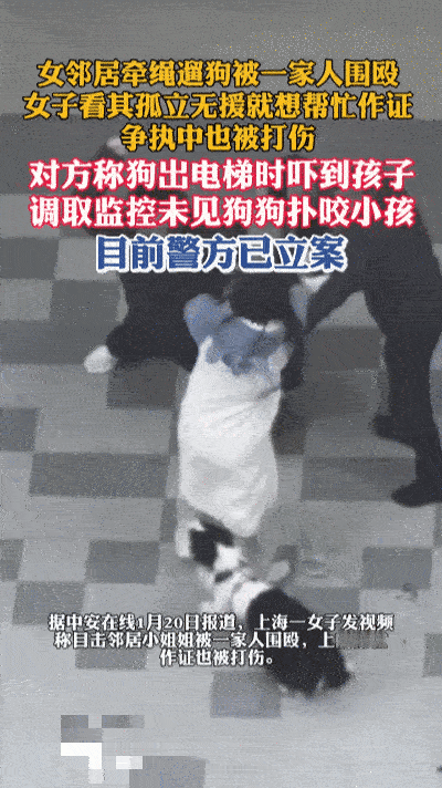 牵狗绳下的冲突……
 
上海小区的绿化带旁，牵绳的泰迪刚蹲下嗅草叶，张女士手里的