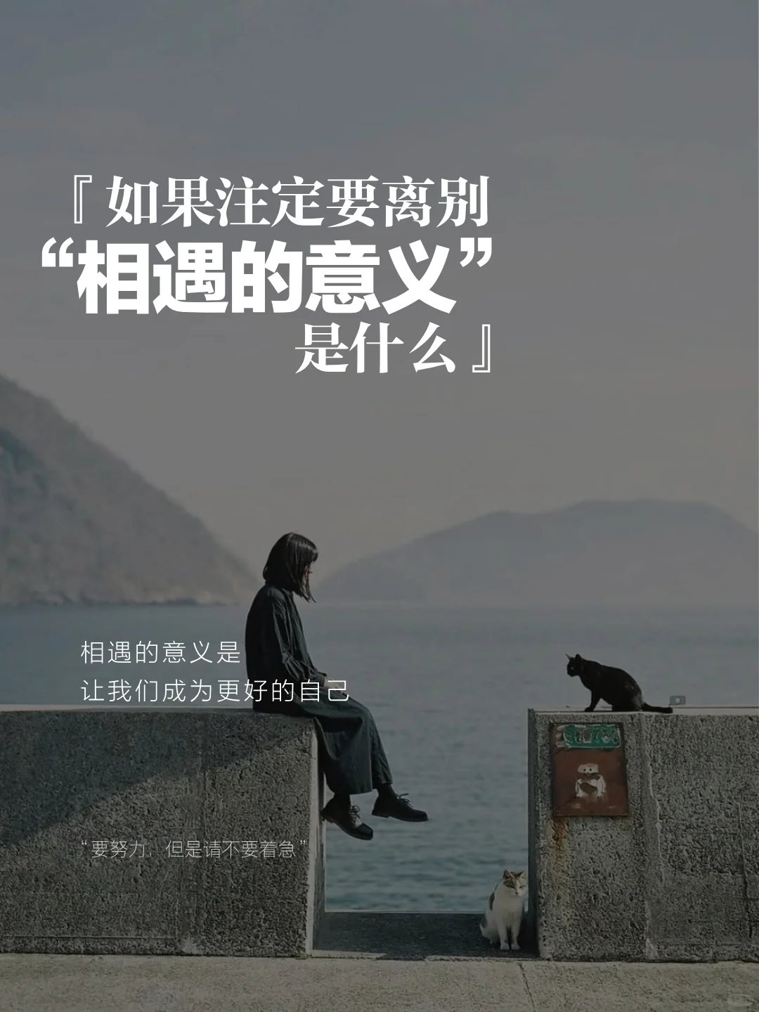 注定离别｜也有相逢的意义