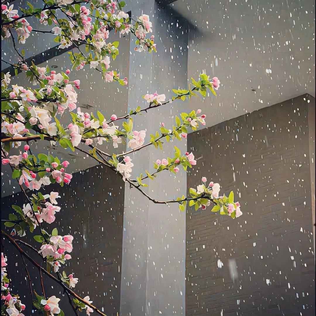 𝑫𝒂𝒊𝒍𝒚 ☕️ 送君送到阳关道 你哭我就哭 你笑我也笑 ​​​