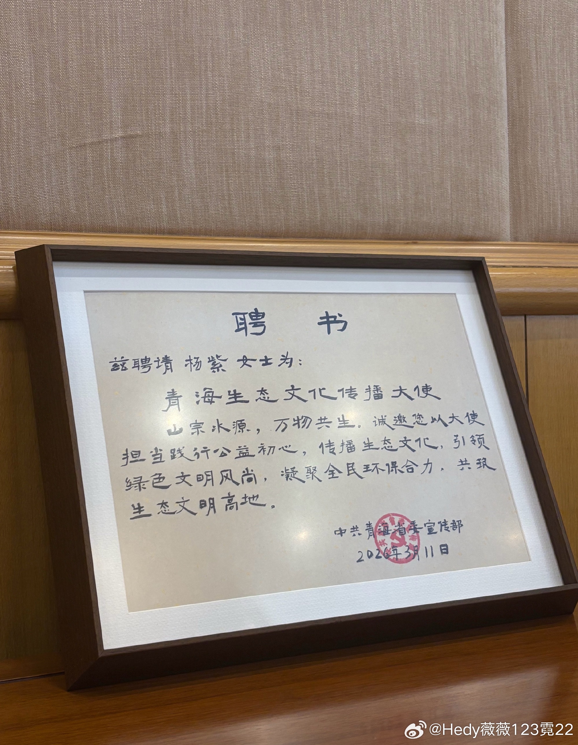 啧啧啧，我紫就是太优秀了，就这么悄悄地被青海宣传部聘请为宣传大使了！👏🏻👏